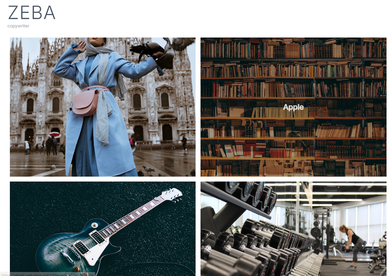Zeba's Portfolio